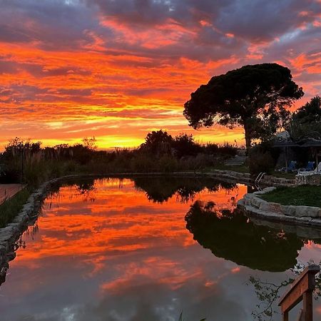 Oasis Camp Portugal Hotel Lagoa  Buitenkant foto